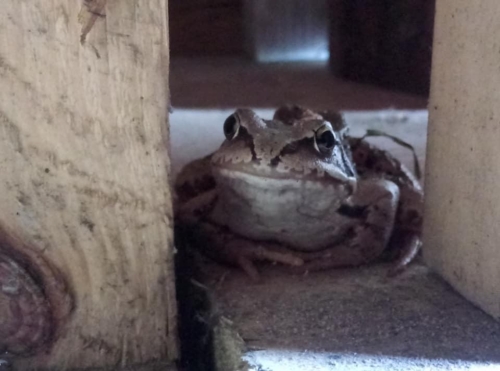 106316321 10163569793378990 7597546462668065569 n