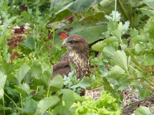 107521598 3458195734231712 5317922479764945078 o