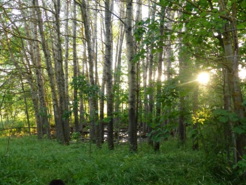 107564703 3458176550900297 321073512853354839 o