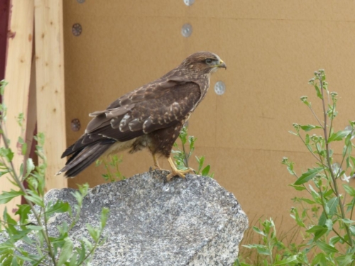 107601230 3456411287743490 32030506944899136 o