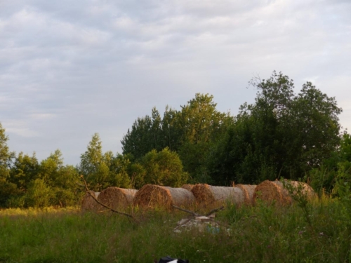 107652893 3458181657566453 3752229590595412134 o