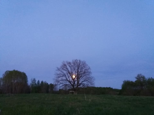 60493486 2527365560648072 3292245754126532608 n