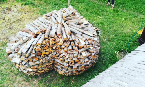 66366450 10156838808464843 8451502702218706944 o