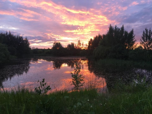 67725778 2678356222215671 9194423549257842688 n