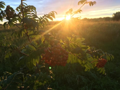 67775080 2678356165549010 6805761162416750592 n