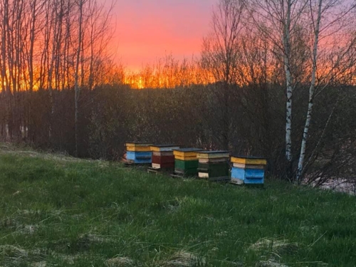 95708400 3287874221263865 6242520018802704384 n