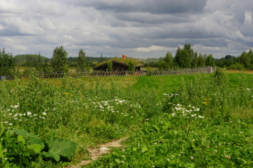 DSC00266