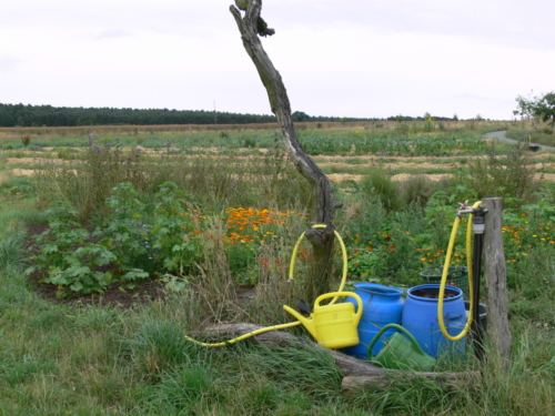 Euroopa okokylad juuli 2008 060