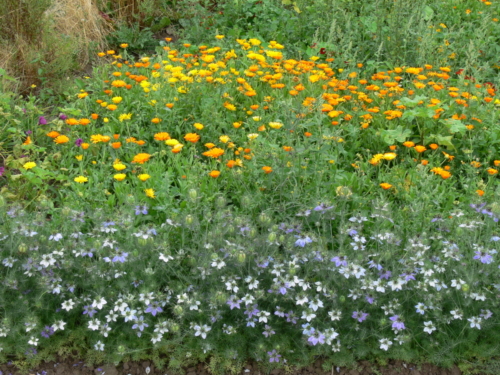 Euroopa okokylad juuli 2008 061