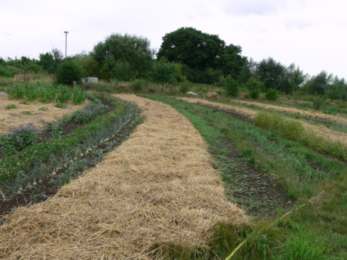 Euroopa okokylad juuli 2008 063