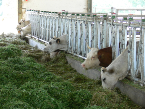 Euroopa okokylad juuli 2008 133