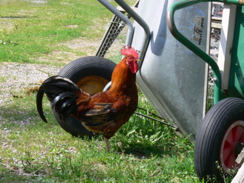 Euroopa okokylad juuli 2008 167