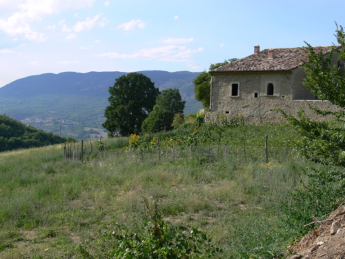 Euroopa okokylade reis juuli 2007 013