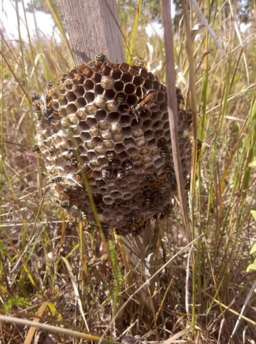 FB IMG 1534657868481