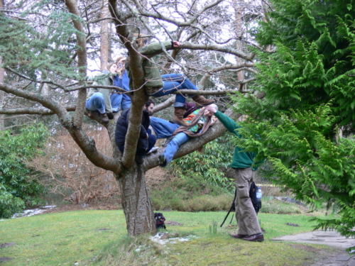 Findhorn Positive Energy march 2008 023