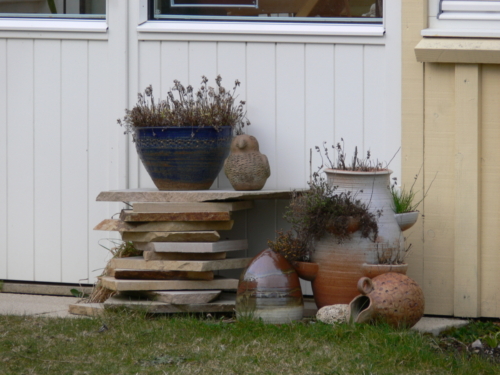 Findhorn Positive Energy march 2008 045