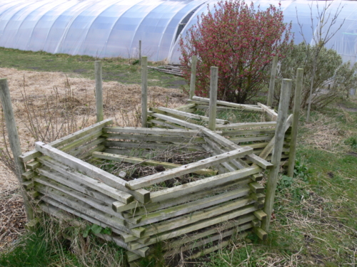 Findhorn Positive Energy march 2008 094