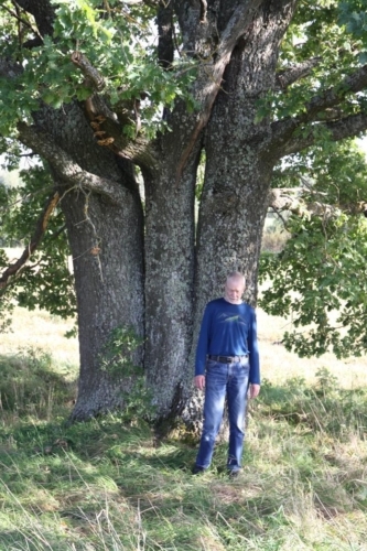 Jorgen Hundiallikal 201647