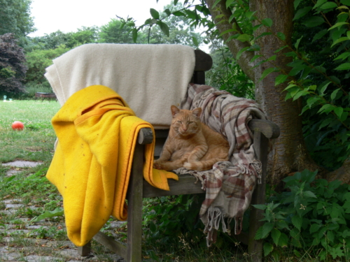 Svanholm Lilleoru juuli 2006 049