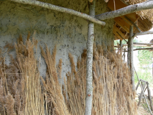 Svanholm Lilleoru juuli 2006 126